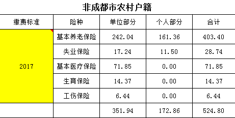 非成都农村户籍社保缴费