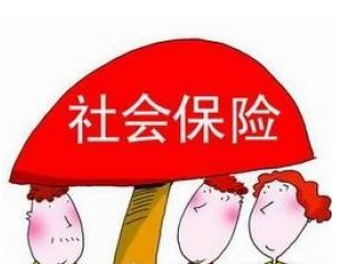 社保代理